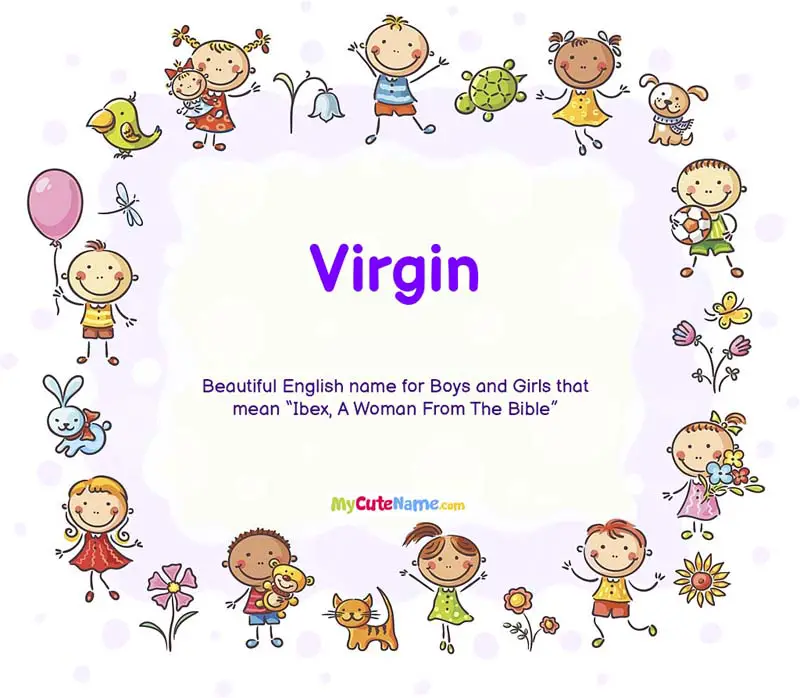 What Is Virgin Meaning In English